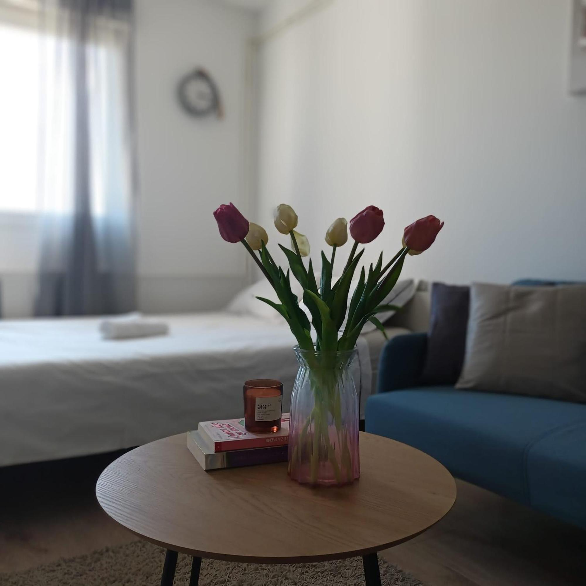 Modern Studio Near City Center Zagreb Buitenkant foto